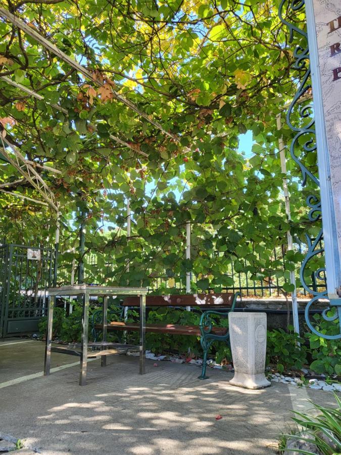 Guest House Sebelj Budva Exterior photo