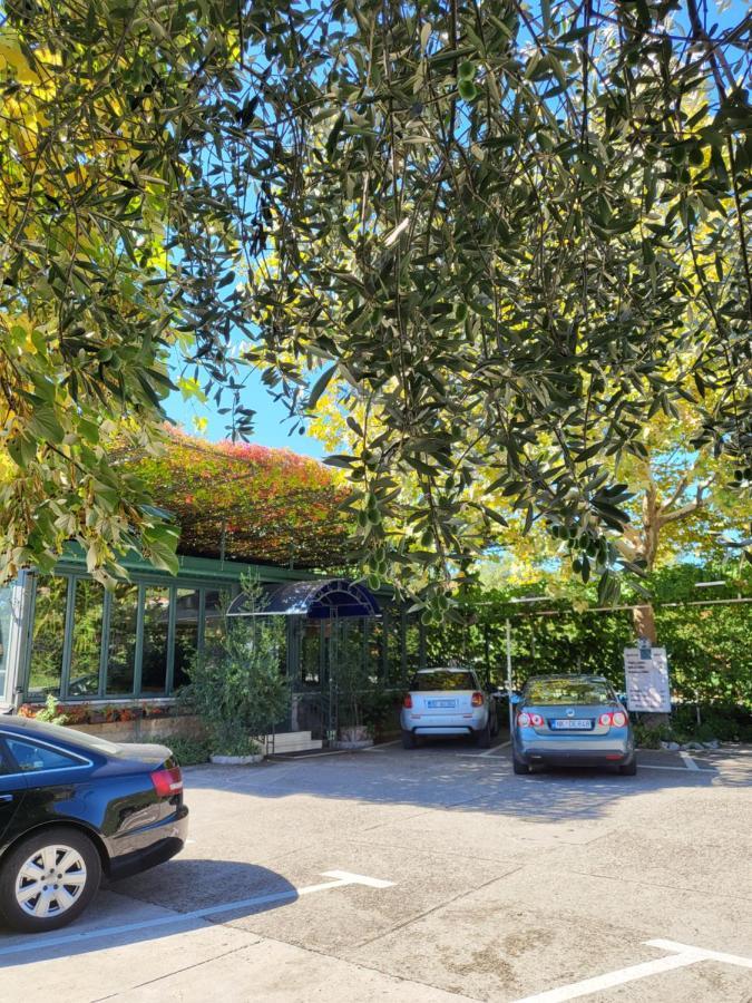 Guest House Sebelj Budva Exterior photo